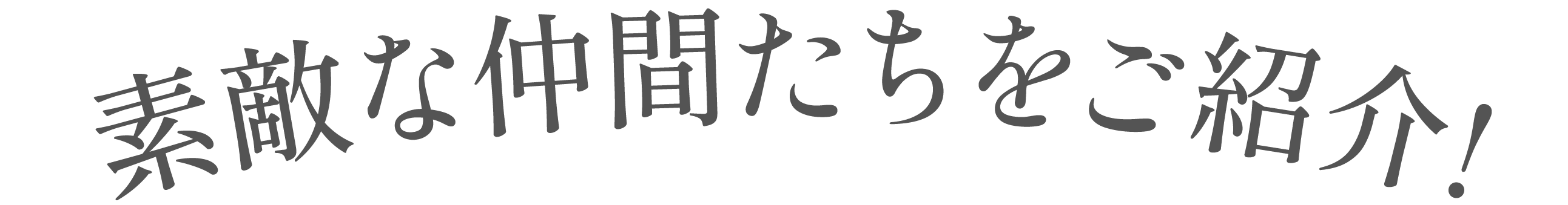 素敵な仲間たちをご紹介！